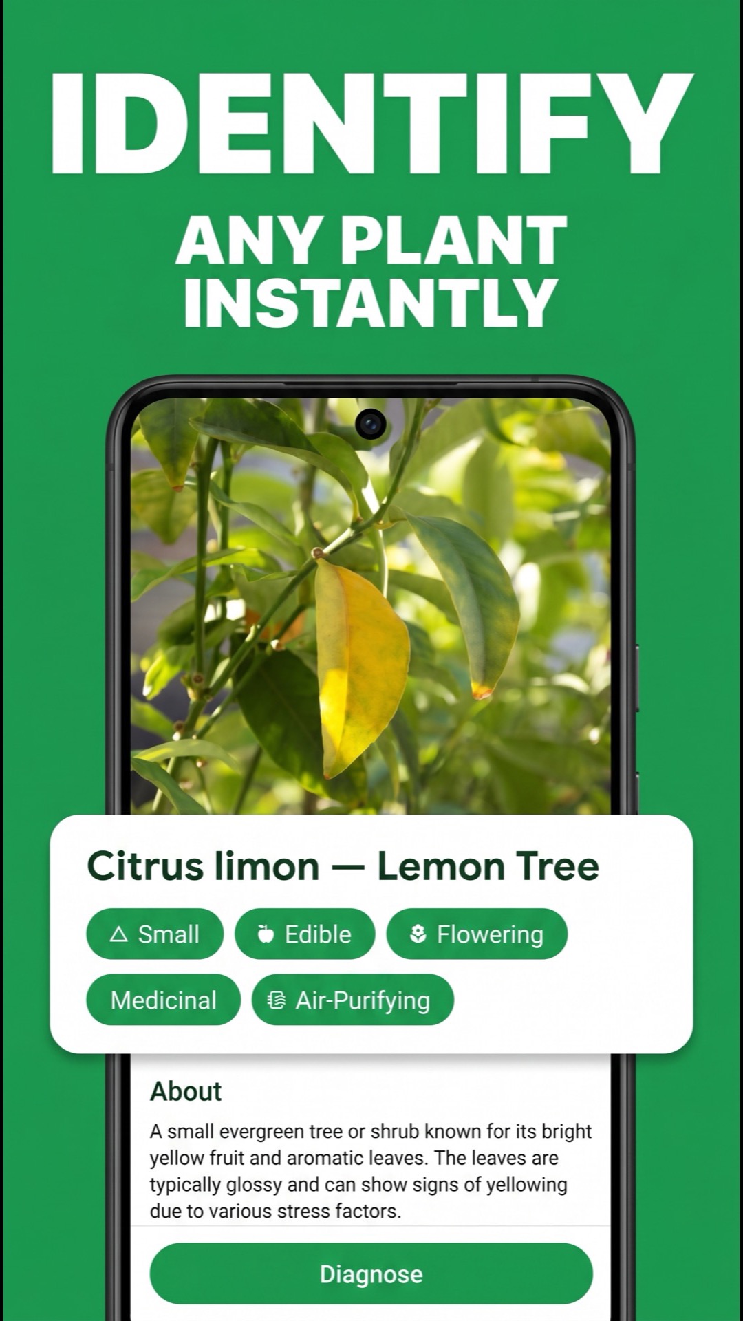 Identify any plant screen