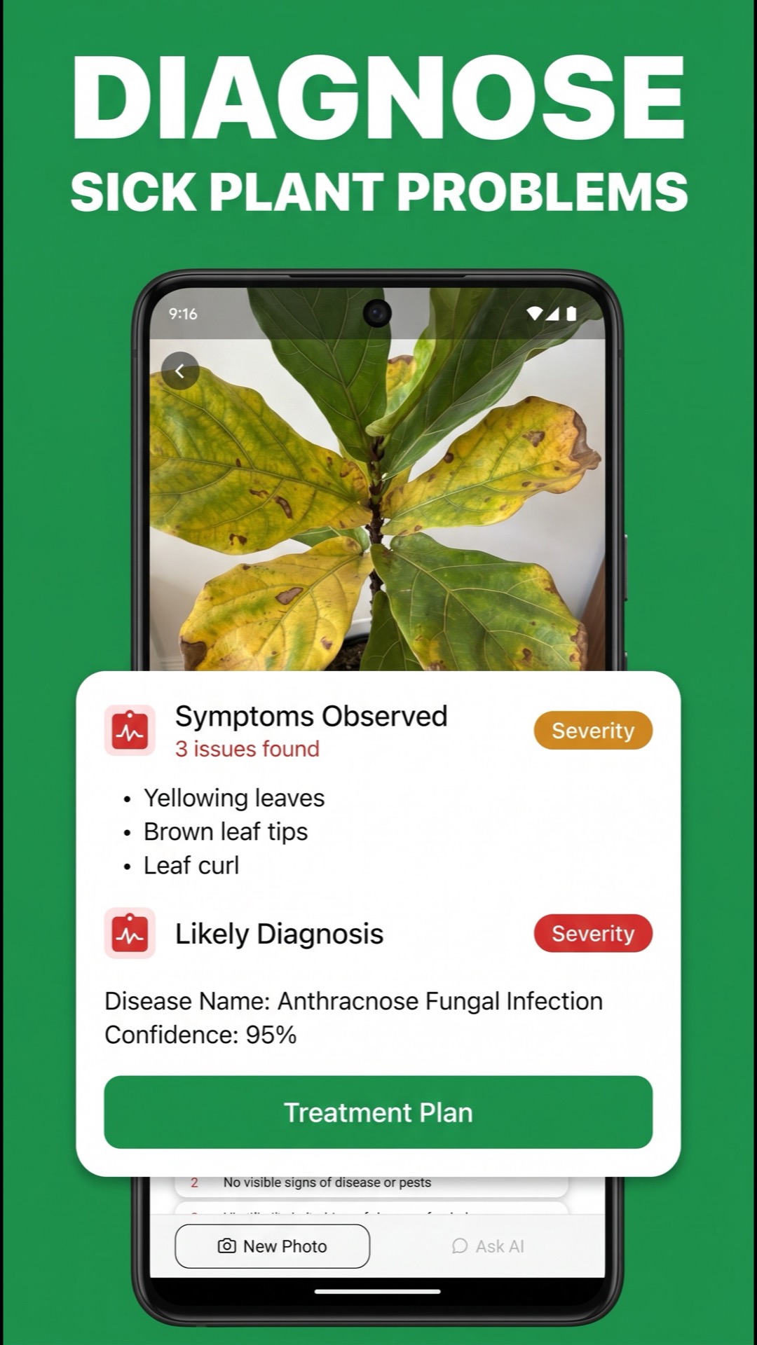 Disease and pest diagnosis screen