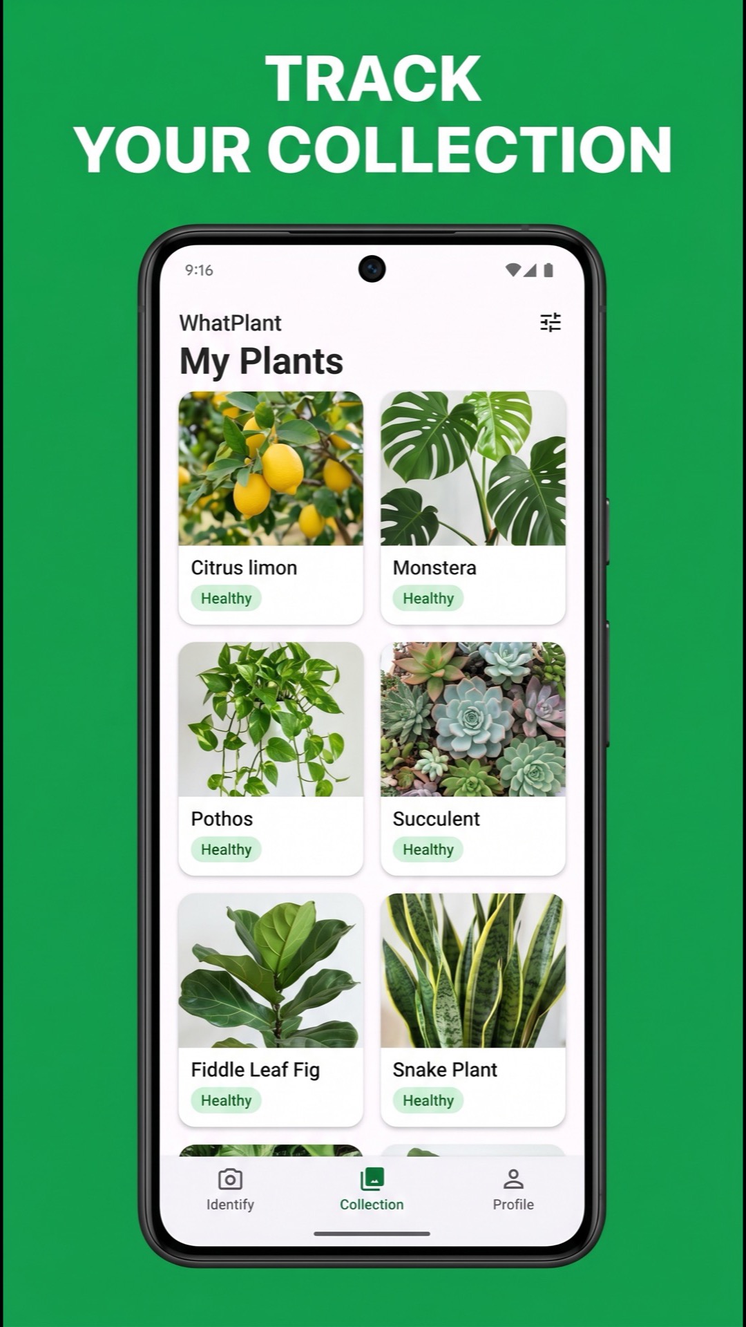 My plant collection screen
